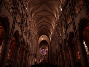 Enlèvement arbre urgence Laon